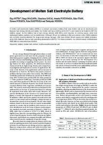 SPECIAL ISSUE  Development of Molten Salt Electrolyte Battery