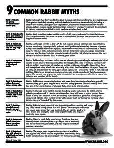 9 COMMON RABBIT MYTHS Myth 1: Rabbits are great, low-maintenance starter pets.