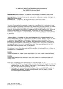 Biology / Ceratopetalum gummiferum / Plant morphology / Pollination / Reproductive system / Ceratopetalum / Hydrangea / Flower / Petal / Christmas plants / Botany / Flora of New South Wales