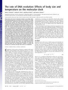 The rate of DNA evolution: Effects of body size and temperature on the molecular clock James F. Gillooly*†, Andrew P. Allen*, Geoffrey B. West‡§, and James H. Brown*‡