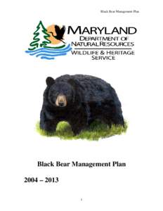 Bear conservation / Bear / American black bear / Garrett County /  Maryland / Maryland Department of Natural Resources / Maryland / Biology / Bears / Zoology / Southern United States