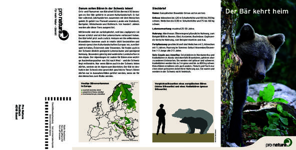 Darum sollen Bären in der Schweiz leben! Orts- und Flurnamen von Bärschwil SO bis Berneck SG bezeugen es: Der Bär gehörte in unsere Kulturlandschaft. Er hat hier während Jahrhunderten zusammen mit dem Menschen geleb