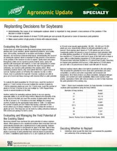    Replanting Decisions for Soybeans    • Understanding the cause of an inadequate soybean stand is important to help prevent a reoccurrence of the problem if the decision is made to replant.       • Final soyb