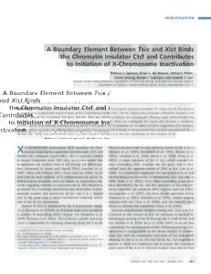INVESTIGATION  A Boundary Element Between Tsix and Xist Binds the Chromatin Insulator Ctcf and Contributes to Initiation of X-Chromosome Inactivation Rebecca J. Spencer, Brian C. del Rosario, Stefan F. Pinter,