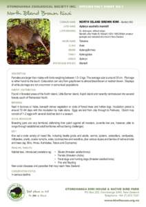 OTOROHANGA ZOOLOGICAL SOCIETY INC.	 SPECIES FACT SHEET NO.1  North Island Brown Kiwi 