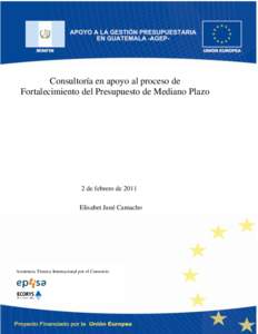 Consultoría en apoyo al proceso de Fortalecimiento del Presupuesto de Mediano Plazo 2 de febrero de 2011 Elisabet Jané Camacho