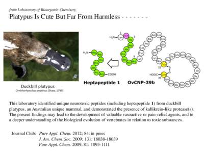 from Laboratory of Bioorganic Chemistry,  Platypus Is Cute But Far From HarmlessThis laboratory identified unique neurotoxic peptides (including heptapeptide 1) from duckbill platypus, an Australian unique