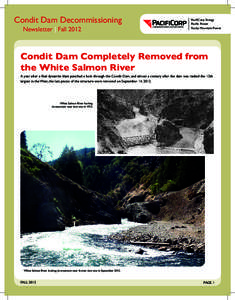 Condit Hydroelectric Project / Energy in the United States / Dam removal / PacifiCorp / White Salmon River / Columbia River / Salmon / Dam / Washington / Geography of the United States / Wild and Scenic Rivers of the United States