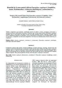 Revista Chilena de Historia Natural IDENTITY OF THE CHILEAN FROG EUPSOPHUS COPPINGERI 3