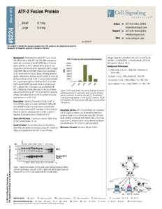 Store at -20°C  ATF-2 Fusion Protein #9224