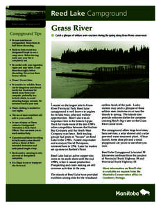 Reed Lake Campground Reed Lake Campground Campground Tips  Grass River
