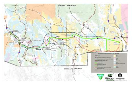 Tumamoc Hill / Saguaro / Tucson /  Arizona / Geography of Arizona / Arizona / Geography of the United States