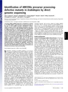 Identiﬁcation of MIR390a precursor processingdefective mutants in Arabidopsis by direct genome sequencing Josh T. Cuperusa,b, Taiowa A. Montgomerya,b, Noah Fahlgrena,b, Russell T. Burkeb, Tiffany Townsendb, Christopher