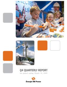 Q4 Quarterly Report for period ending March 31, 2009 2  introduction