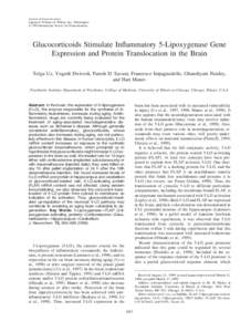 Journal of Neurochemistry Lippincott Williams & Wilkins, Inc., Philadelphia © 1999 International Society for Neurochemistry Glucocorticoids Stimulate Inflammatory 5-Lipoxygenase Gene Expression and Protein Translocation