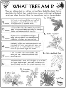 WHAT TREE AM I? These are all trees that you will see on your Table Rocks hike. Read the tree description on the left, then look at the six pictures on the right and decide which one it best describes. Write the correct 