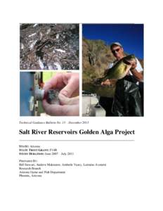 Technical Guidance Bulletin No. 13 – December[removed]Salt River Reservoirs Golden Alga Project STATE: Arizona STATE TRUST GRANT: F14R STUDY DURATION: June 2007 – July 2011