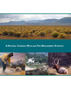 A National Cohesive Wildland Fire Management Strategy  Table of Contents Executive Summary................................................................................................. 1 Part 1: National Challenges 