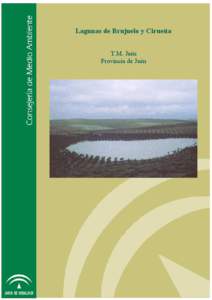 1. IDENTIFICACIÓN Nombre: Lagunas de Brujuelo y Cirueña Otros nombres conocidos: Las charquillas