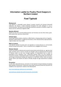 Information Leaflet for Poultry Flock Keepers in Northern Ireland Fowl Typhoid Background Fowl typhoid is a potentially serious disease of poultry caused by the bacteria Salmonella