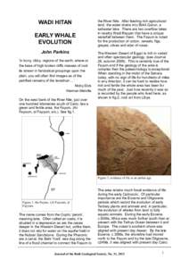 WADI HITAN EARLY WHALE EVOLUTION John Parkins ‘In bony, ribby, regions of the earth, where at the base of high broken cliffs masses of rock