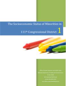 The Socioeconomic Status of Minorities in 111th Congressional District 1  Office of Health Disparities and Health Equity