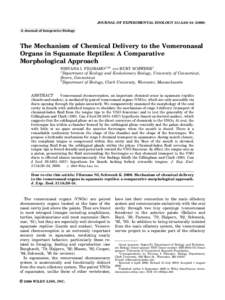JOURNAL OF EXPERIMENTAL ZOOLOGY 311A:20–[removed]A Journal of Integrative Biology The Mechanism of Chemical Delivery to the Vomeronasal Organs in Squamate Reptiles: A Comparative Morphological Approach