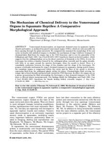 Tongue / Olfactory system / Pheromones / Vomeronasal organ / Sublingual gland / Forked tongue / Sublingual administration / Sublingua / Mucous membrane of the soft palate / Anatomy / Biology / Sensory organs