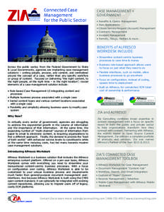 government solutions Connected Case Management for the Public Sector