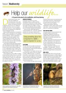 feature | Biodiversity  D Help our wildlife... A 10-point action plan for the smallholder, with Penny Bunting