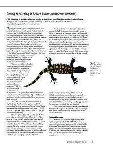 Beaded lizard / Heloderma / Gila monster / Varanidae / Venomous animals / Herpetology / Zoology
