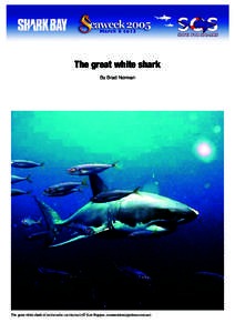 The great white shark By Brad Norman The great white shark (Carcharodon carcharias) ( Ken Hoppen, [removed])  THE GREAT WHITE SHARK