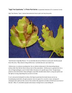 “Ugly Tree Syndrome,” a Three-Part Series  Cooperative Extension of St. Lawrence County Ugly Tree Disease, Type 1: Leaves have extensive brown spots and may drop early.