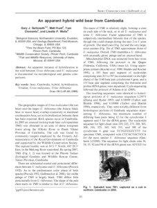 Biology / Free the Bears Fund / Ursus / Sun bear / Asian black bear / Mitochondrial DNA / Brown bear / Ursinae / Bears / Fauna of Asia / Zoology