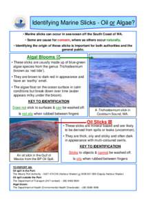 Identifying Marine Slicks - Oil or Algae? • Marine slicks can occur in sea/ocean off the South Coast of WA. • Some are cause for concern, where as others occur naturally. • Identifying the origin of these slicks is