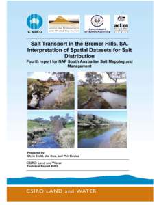 Salt Transport in the Bremer Hills, SA. Interpretation of Spatial Datasets for Salt Distribution Fourth report for NAP South Australian Salt Mapping and Management