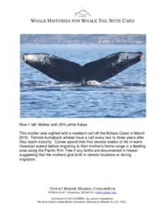 Animal communication / Whale / Megafauna / Cetaceans / Zoology / Biology