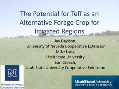 The Potential for Teff as an Alternative Forage Crop for Irrigated Regions Jay Davison, University of Nevada Cooperative Extension Mike Laca,