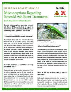 FH23N E B R A S K A F O R E S T S E RV I C E Misconceptions Regarding Emerald Ash Borer Treatments