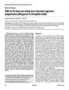 [RNA Biology 6:4, [removed]; September/October 2009]; ©2009 Landes Bioscience  Research Paper