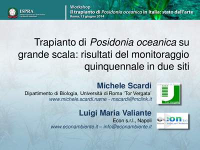 Trapianto di Posidonia oceanica su grande scala: risultati del monitoraggio quinquennale in due siti Michele Scardi Dipartimento di Biologia, Università di Roma ‘Tor Vergata’ www.michele.scardi.name - mscardi@mclink