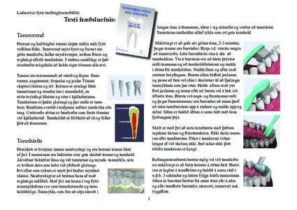 Leiðarvísir fyrir heilbrigðisstarfsfólk  Texti fræðsluefnis: langan tíma á tönnunum, tekur í sig stein­efni og verður að tann­steini. Tannsteinn inniheldur alltaf sýkla sem ert geta tannhold.