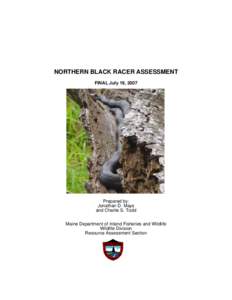 Northern Black Racer Assessment