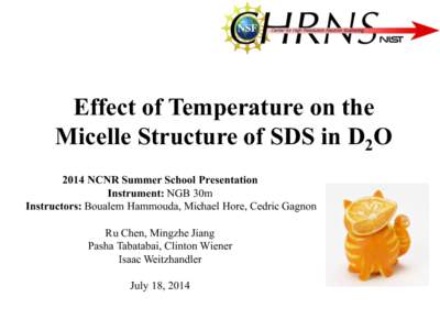 Effect of Temperature on the Micelle Structure of SDS in D2O 2014 NCNR Summer School Presentation Instrument: NGB 30m Instructors: Boualem Hammouda, Michael Hore, Cedric Gagnon Ru Chen, Mingzhe Jiang