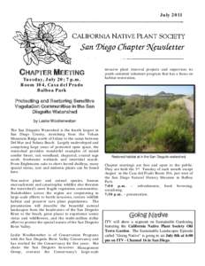 Monardella viminea / Monardella / California Native Plant Society