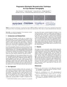 Progressive Stochastic Reconstruction Techniqueor Cryo Electron Tomography