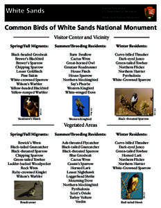 White Sands  National Park Service U.S. Department of the Interior White Sands National Monument