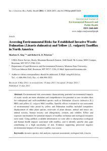 Assessing environmental risks for established invasive weeds: Dalmatian (Linaria dalmatica) and yellow (L. vulgaris) toadflax in North America