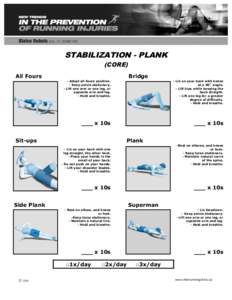 STABILIZATION - PLANK (CORE) All Fours  Bridge