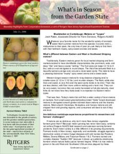 What’s in Season from the Garden State Biweekly Highlights from Cooperative Extension, a unit of Rutgers New Jersey Agricultural Experiment Station July 21, 2008  Muskmelon or Cantaloupe; Melons or “Lopes”